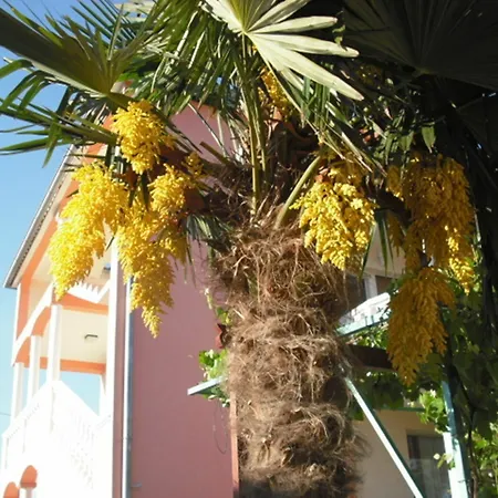 Apartament With 3 Bedrooms In Pula, With Enclosed Garden And Wifi - 1 K